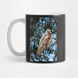 Corella 1 Mug